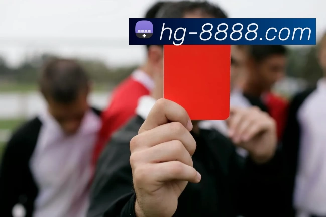 数据分析功能