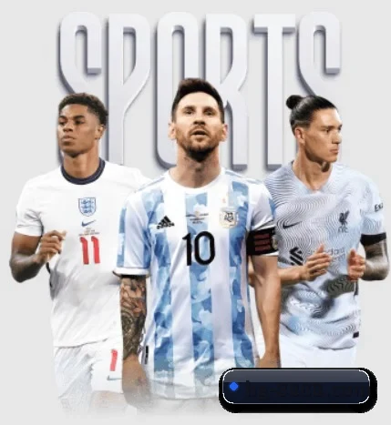 五大服务分区,信息按项目分类 - APP
